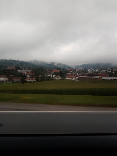 Auto Melch - Visual