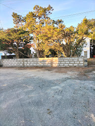 Photo n°3 de Bernard Noé à Le Perrier (Maçon)