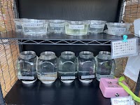 無人販売所 ハルカナメダカ