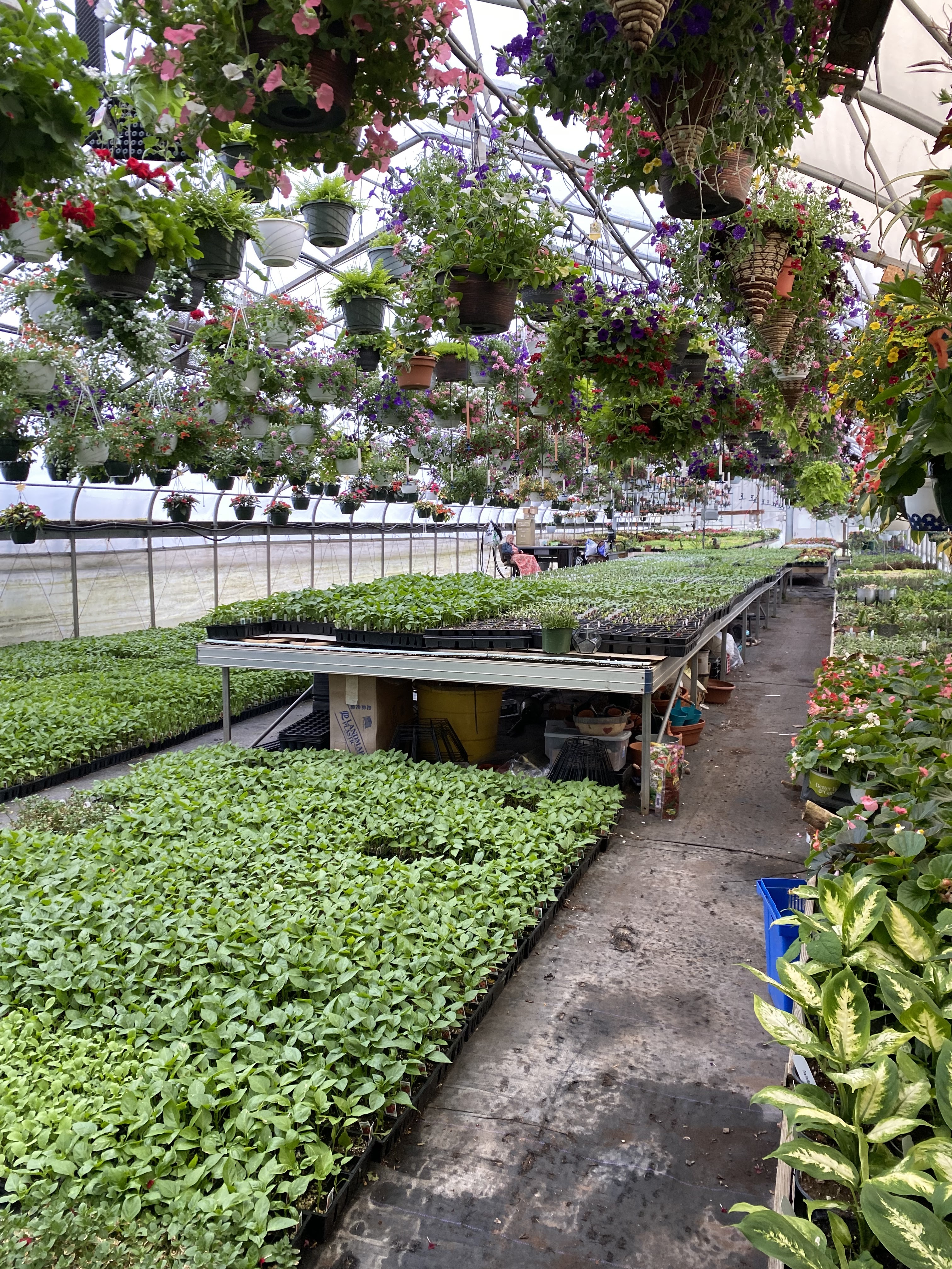Tuckaway farm and greenhouse
