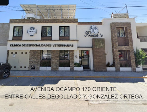 Clínica de Especialidades Veterinarias French´s Torreón Coahuila