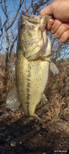 Wilson State Fishing Lake - Thumbnail