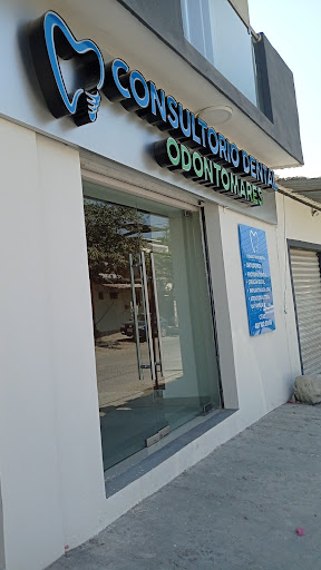 Odontomares - Thumbnail