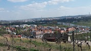 Фотография Амазонка, Пенза, Россия