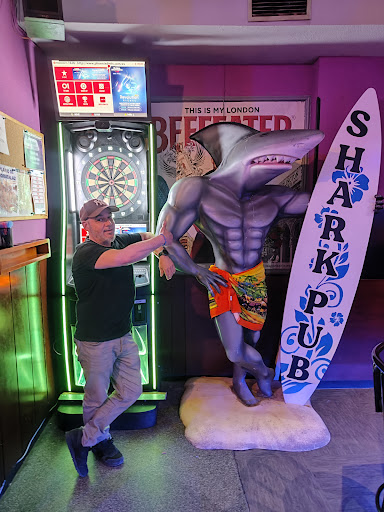 Pub Shark - Visual