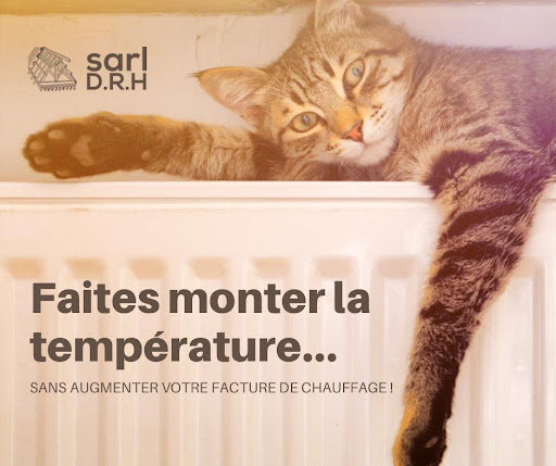 SARL DRH - Thumbnail