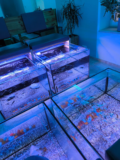 Wellness im garufa Kosmetik- Fusspflege- FishSpa