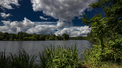 Oderparksee - Visual