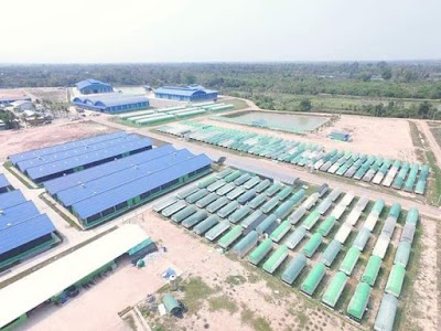 Photos of ບໍລິສັດພີເອັສສົ່ງເສີມກະສິກຳ ແລະ ອຸດສາຫະກຳຄົບວົງຈອນ