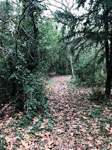 Uxbridge Grove Nature Reserve london