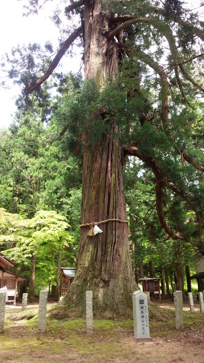 Photos of Tsukimoto Shrine