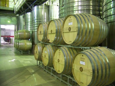 Photos of Bodegas Norton