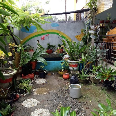 Photos of Pasar Tinambung