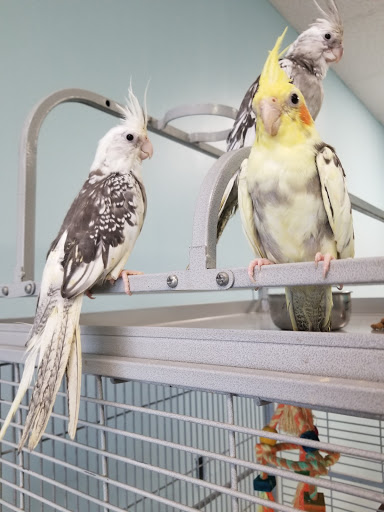 Animal Cove Pets & Pet Grooming Gallery - United States