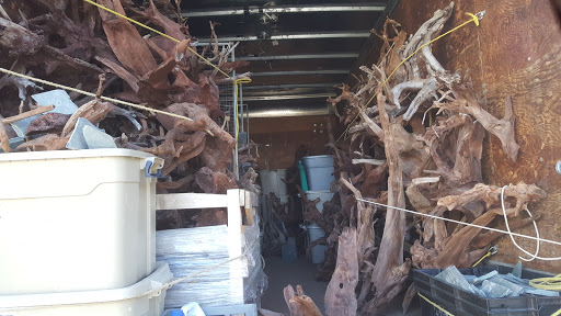 Compass Rose Driftwood And Aquatics Supply - Thumbnail