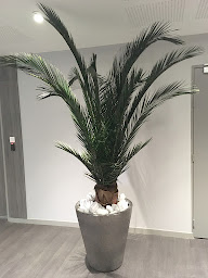 Photo n°19 de Plantestabilisee.com à Courbevoie (Designer d'intérieur)