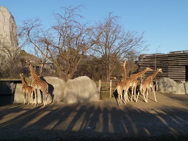 Parc Zoologique