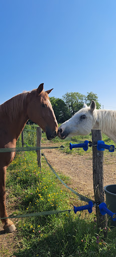 Area Equestrian Du Nivernais - Thumbnail
