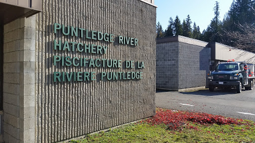 Puntledge River Hatchery - Thumbnail