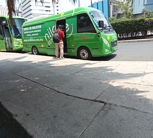 Smile Bus - Thumbnail
