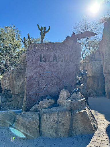 Zoo Store - Visual