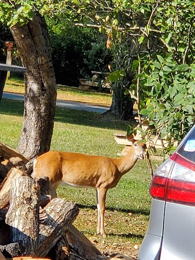 Deer Trail Park & Campground inc.