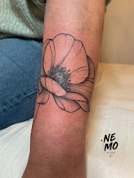 Photo n°20 de L’Aquarium Tatouages à Saint-Paul-Trois-Châteaux (Tatoueur)