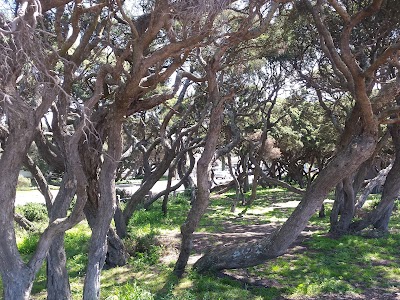 Photos of Anglesea Visitor Information Centre