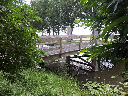 Zijdeweg Noord Gallery - Netherlands