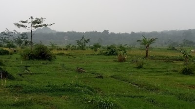 Photos of Warung Batok