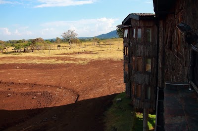 Photos of Treetops Lodge