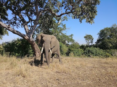 Photos of Satara Camp Gate