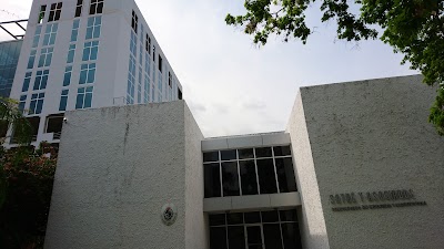 Photos of Saybe y Asociados