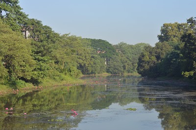 Photos of Migratory Bird Lake 2