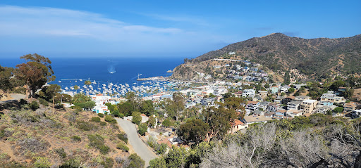 Island Rentals Inc. Gallery - United States
