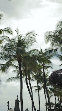 AANOUKIS SWIMWEAR by null