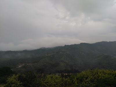 park