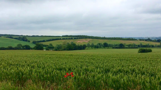 Bures - Thumbnail