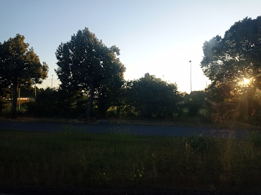 Sportplatz Frose - Thumbnail