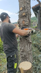 Photo n°2 de Balland Entretien Espace vert Elagueur Paysagiste Terrassier Beynost Montluel La boisse Rillieux la Pape Meyzieu Pusignan à Miribel (Paysagiste)