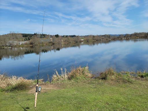 Hampton Park - Visual