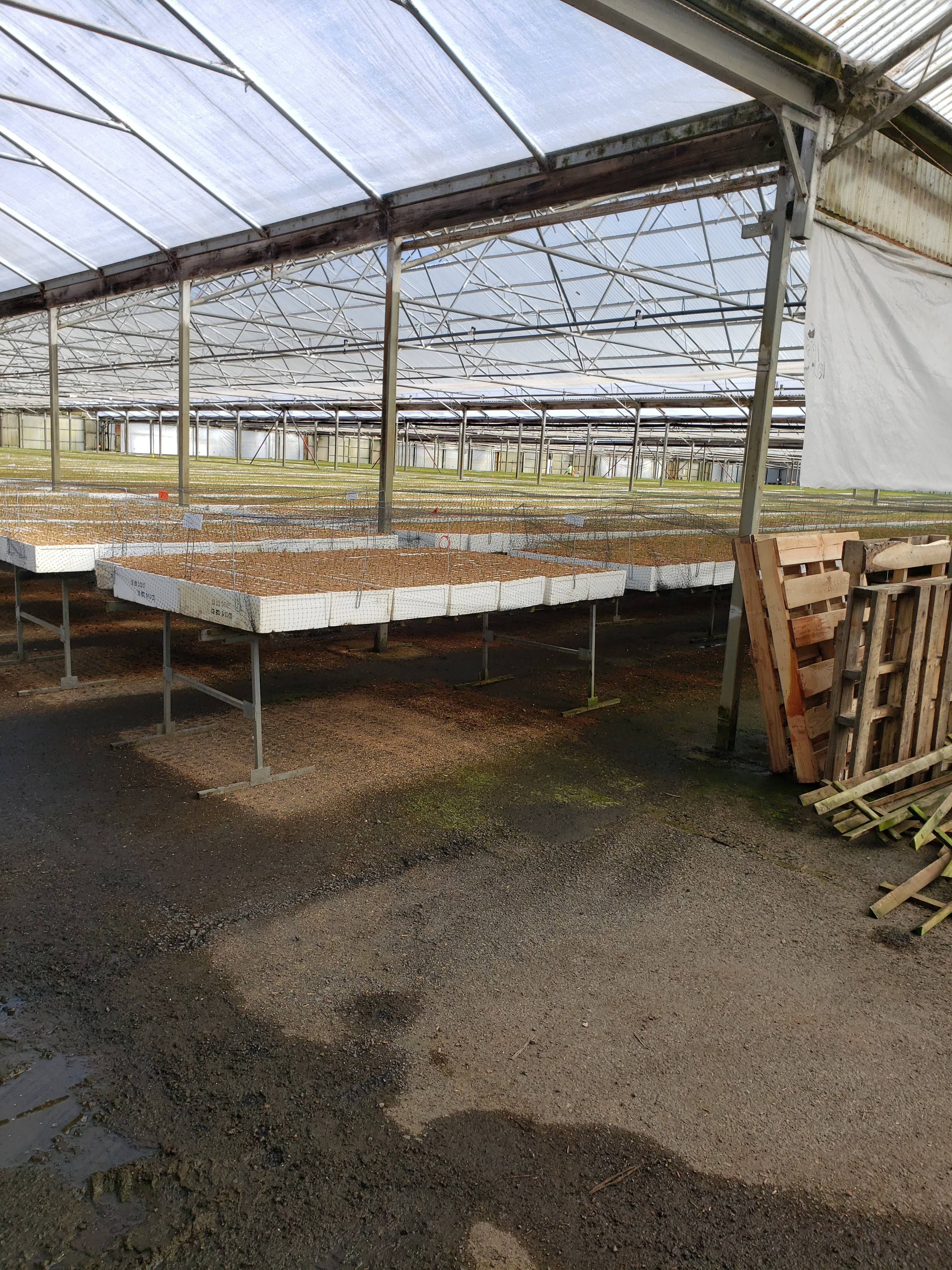 PRT Cottage Grove Nursery