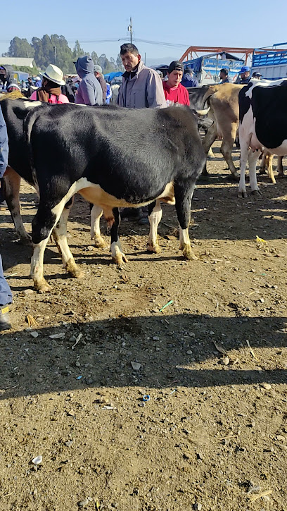 Feria de Ganado Cuenca