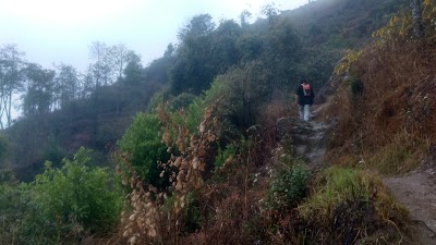 Photos of Naulo Organic Resort