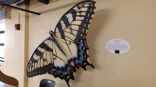 Science Museum of Western Virginia - Thumbnail