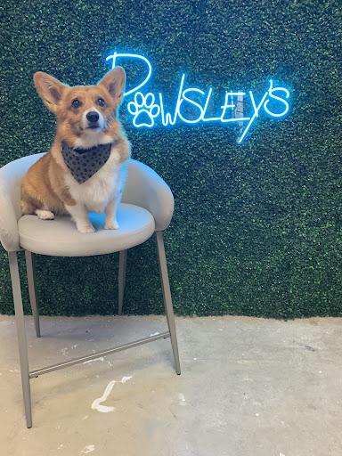 Pawsley’s - Visual