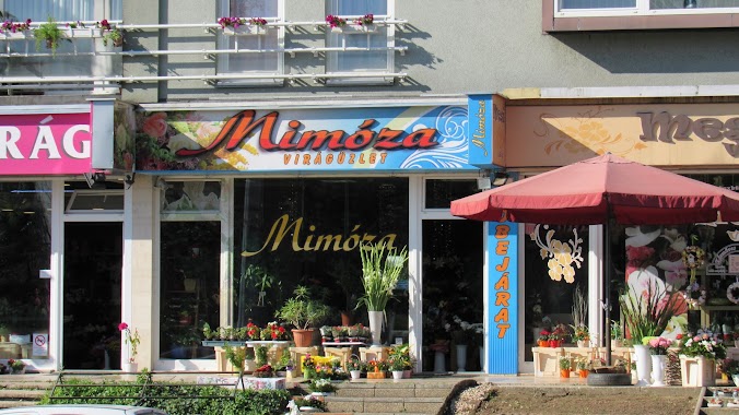 Mimosa flower shop, Author: Géza Urr