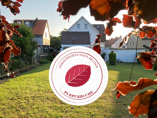 Ferienwohnungen bei der Purpurbuche Bad Harzburg - Thumbnail