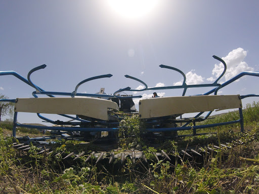 Azienda agricola Don Alfonso