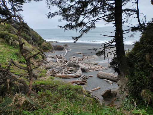 Kalaloch Beach 3 - Thumbnail